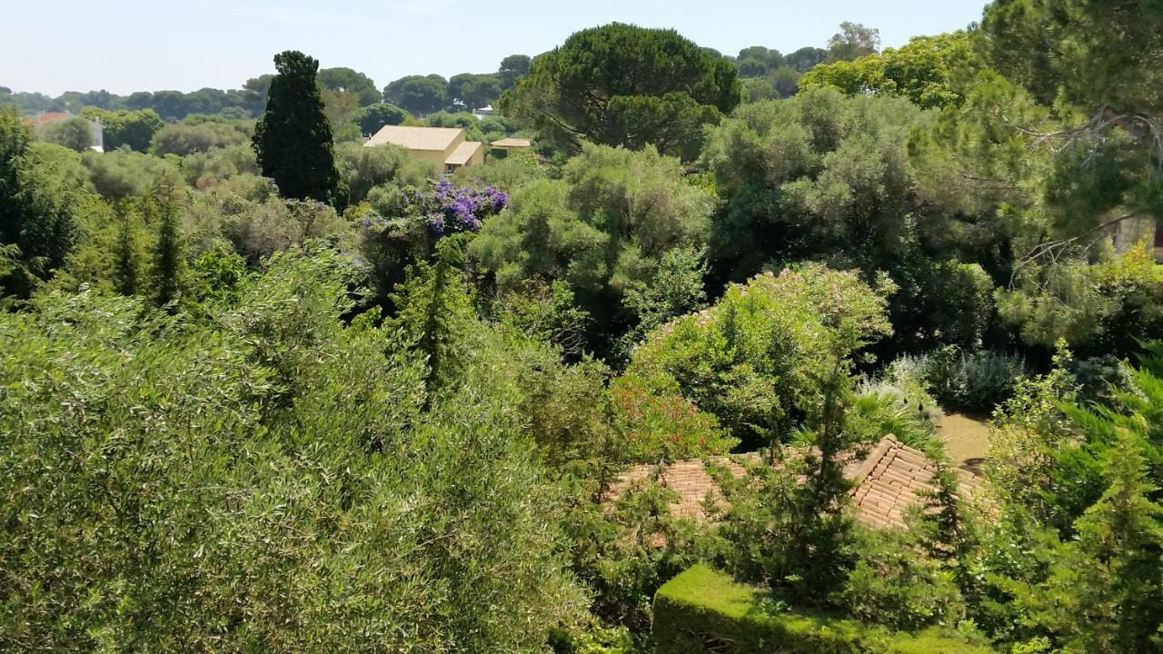 Green Cap D'Antibes Exteriér fotografie